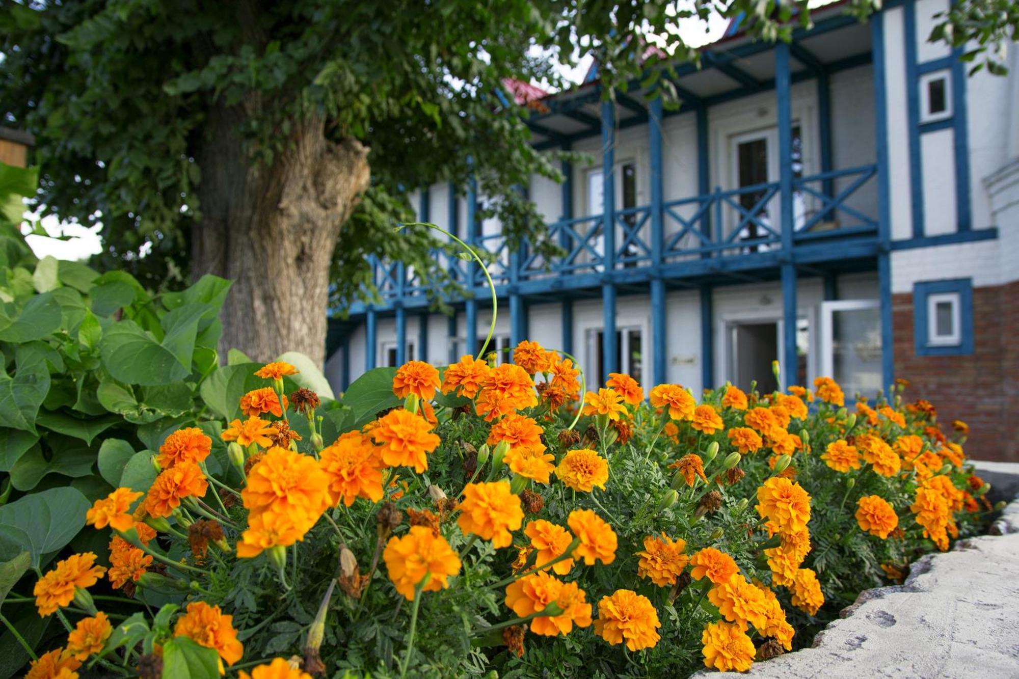 Mayak Resort Kam'yani Potoky Exteriör bild