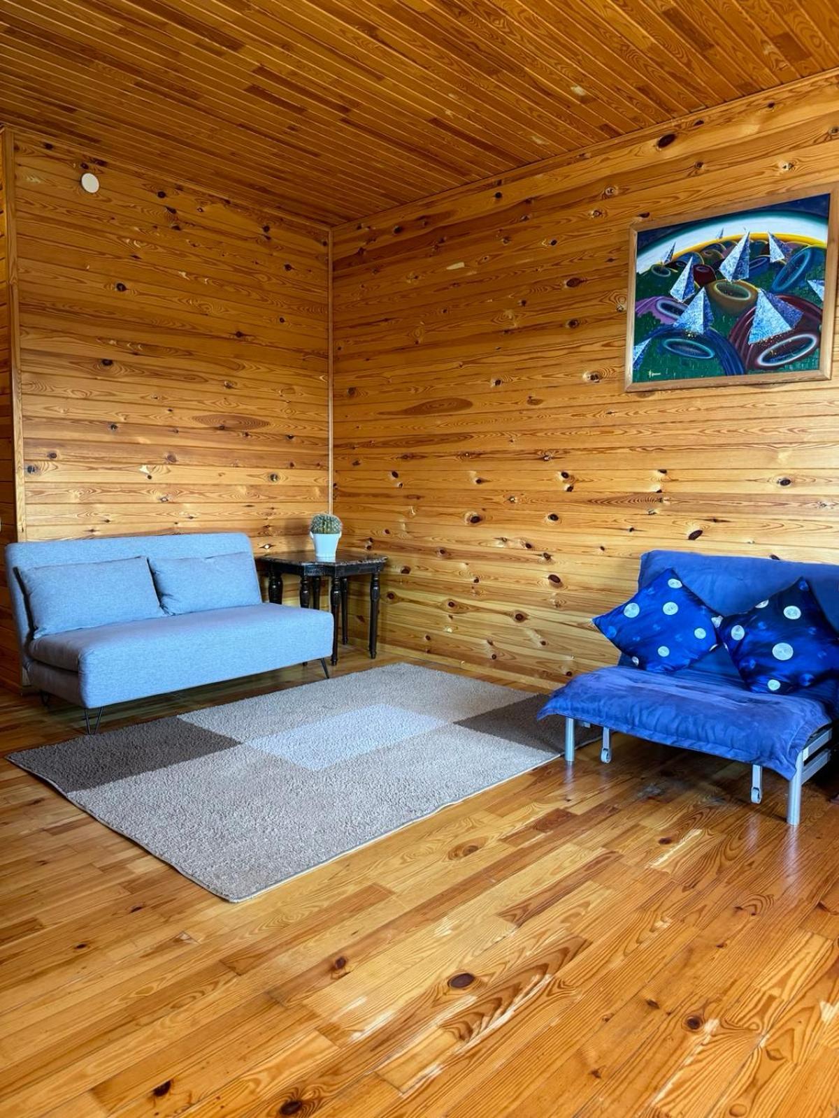 Mayak Resort Kam'yani Potoky Rum bild